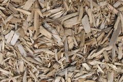 biomass boilers Ware